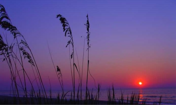 Lee'S Myrtle Beach Condo Екстер'єр фото